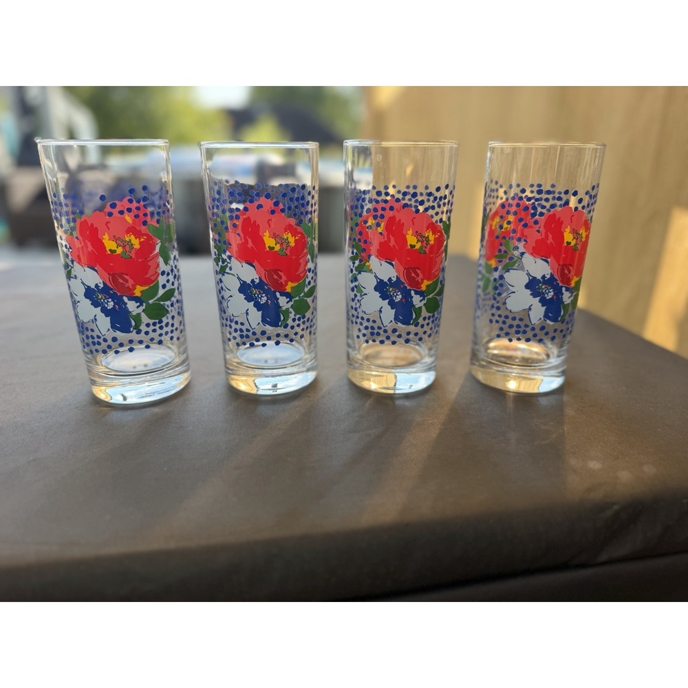 Pioneer Woman Dazzling Dahlias Floral 16 oz Drinking Glasses Set Of 4